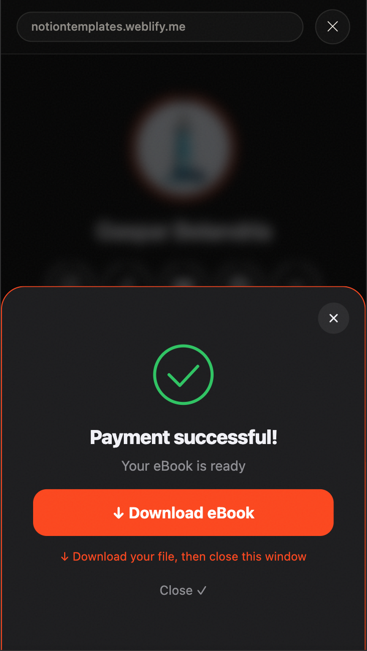 Payment successful screen: buyer receives instant download link after Stripe payment